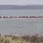 Сasa de vacaciones Strandhuset Agger
