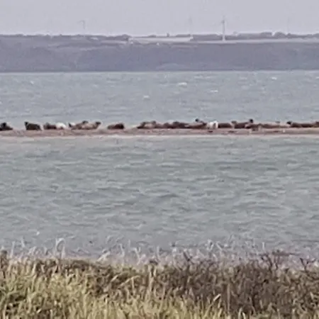 別荘 Strandhuset Agger